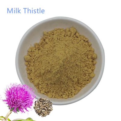 Milk Thistle Extract Water Soluble Silymarin 40% Powder Pure Plant Extracts
