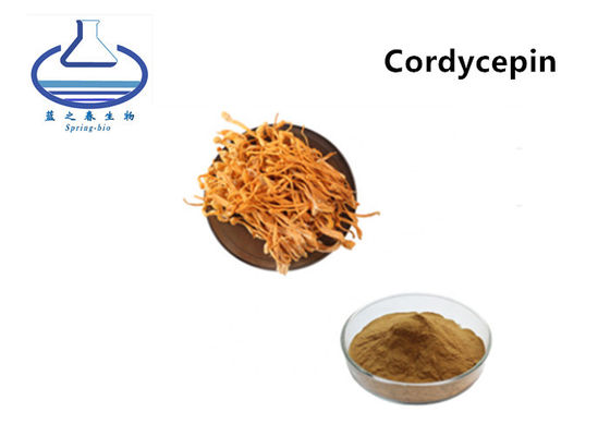 Natural Cordyceps Militaris Extract Powder 3% 5% Food Grade for Healthcare