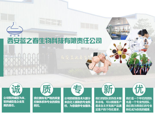 Betaine Powder Natural Beetroot Extract Sodium Hyaluronate And Hyaluronic Acid