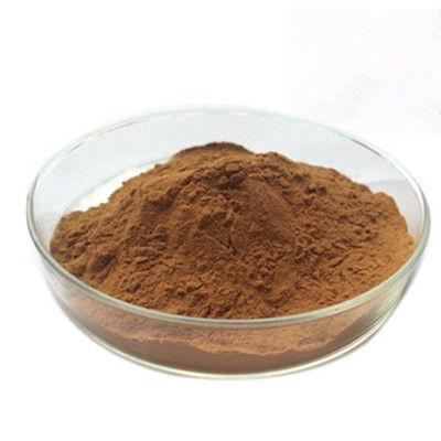 Reishi Mushroom Ganoderma Lucidum Extract 84687-43-4 Brown Fine Powder