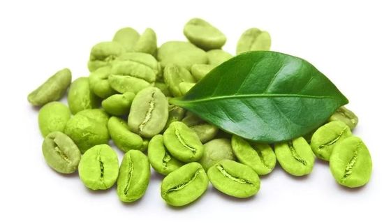 wholesale High Quality Green Coffee Bean Extract Powder
