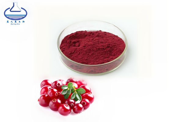 Purple Red Cranberry Extract Powder Medical Grade With Anthocyanidins