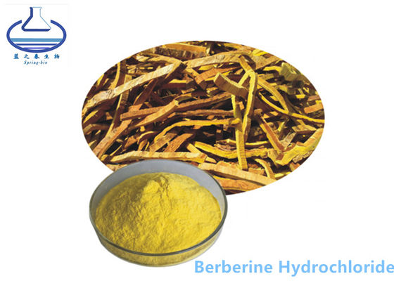 Berberine 염산염 Phellodendron Amurense 추출물 황색 분말 633-65-8