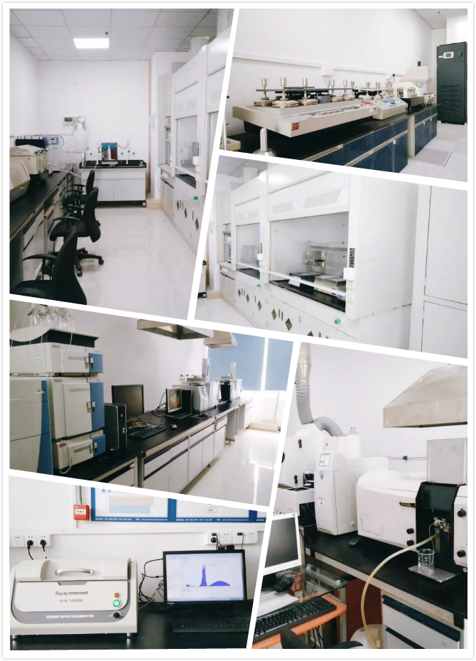 중국 Xi'an Spring Biotechnology Co., Ltd. 공장 생산 라인
